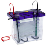 英國(guó)ceaver,垂直凝膠電泳儀